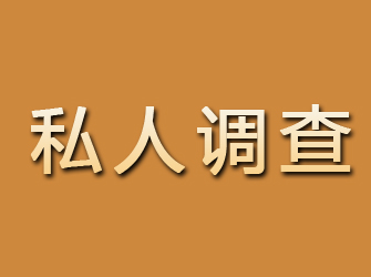 田东私人调查